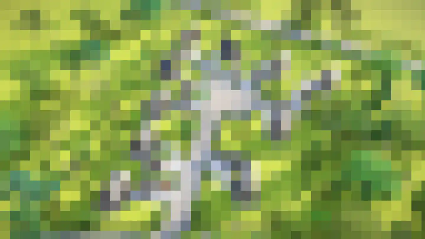 Barre Ven Zaandijk thumbnail 12