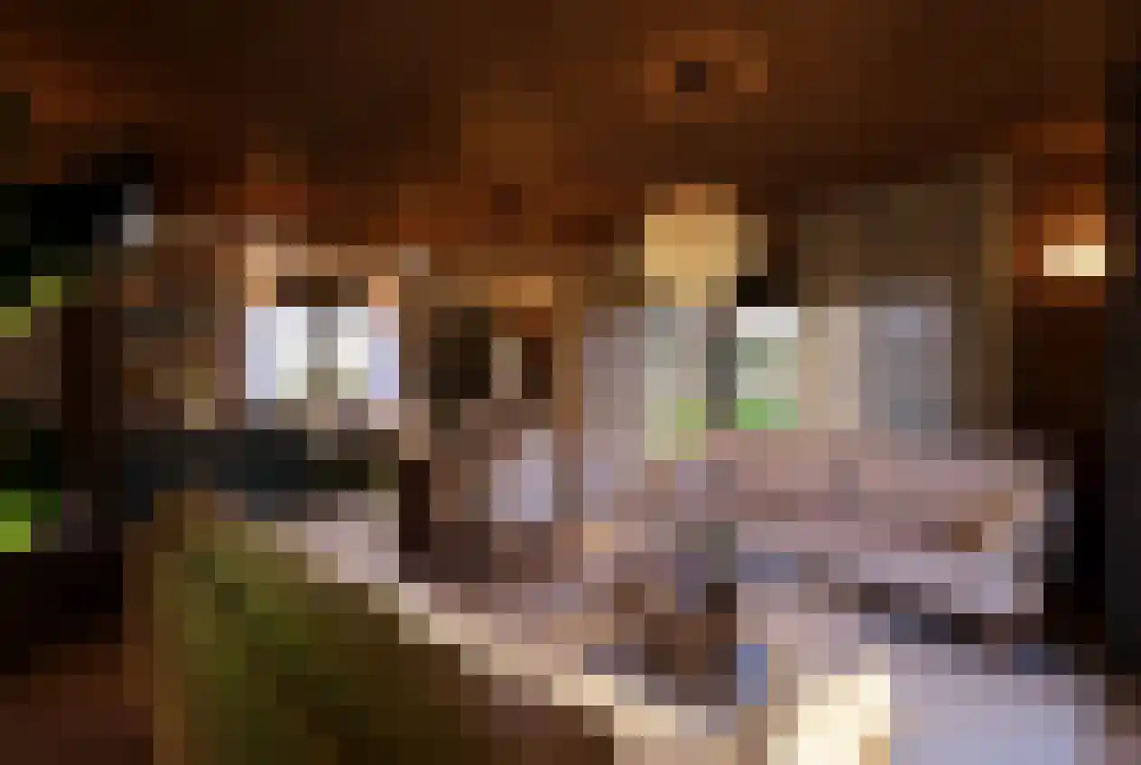 Barre Ven Zaandijk thumbnail 13