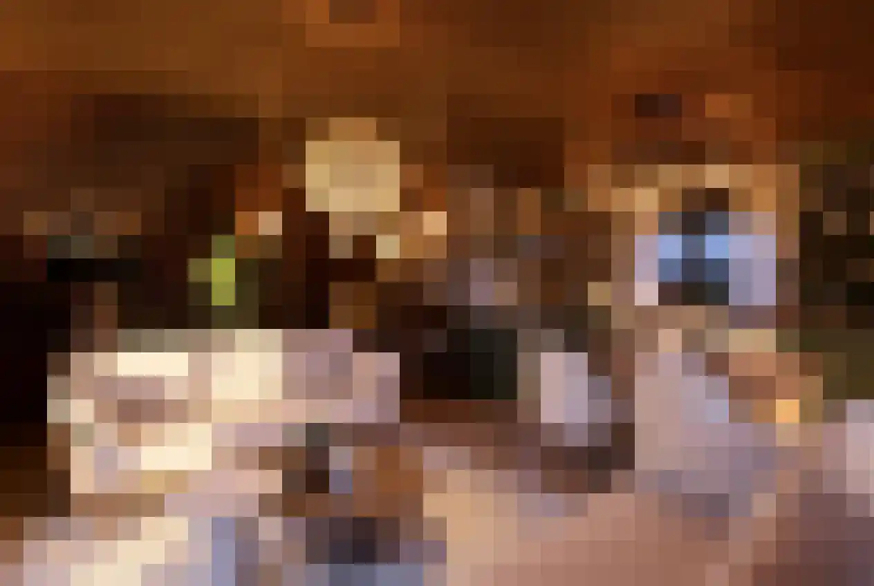 Barre Ven Zaandijk thumbnail 14