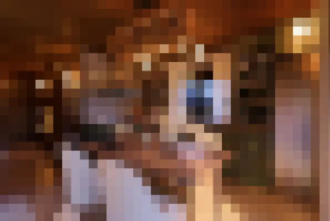 Barre Ven Zaandijk thumbnail 15