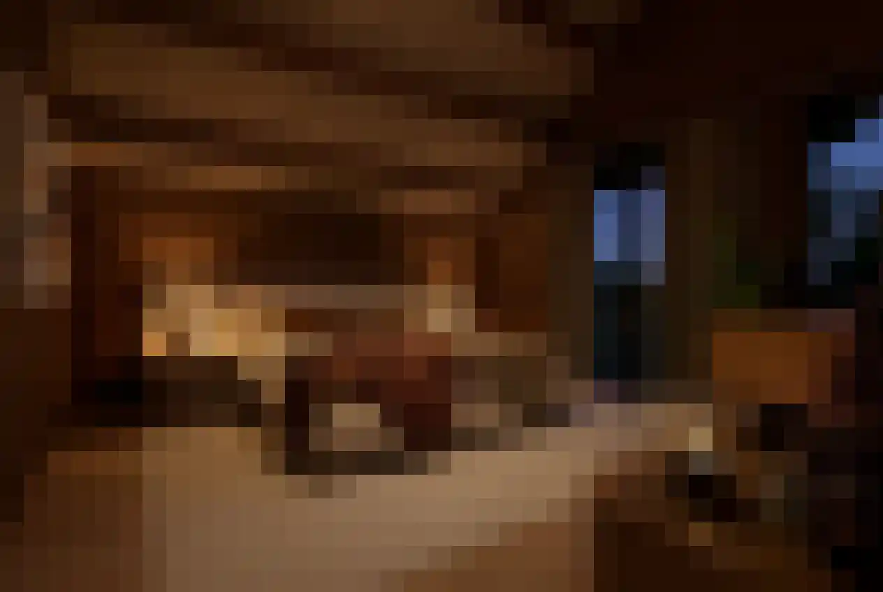 Barre Ven Zaandijk thumbnail 16