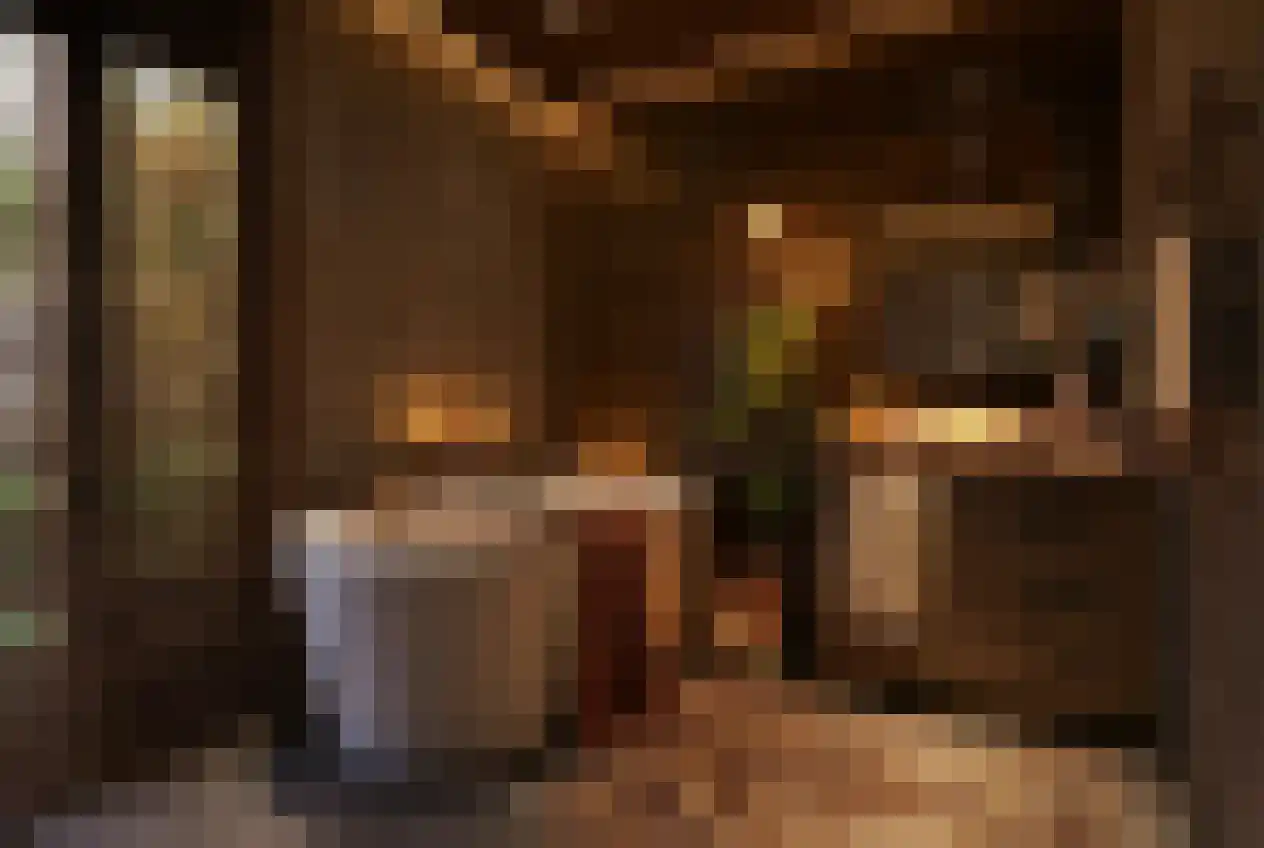 Barre Ven Zaandijk thumbnail 17