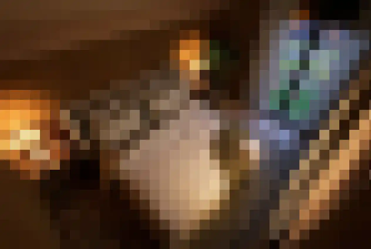 Barre Ven Zaandijk thumbnail 18