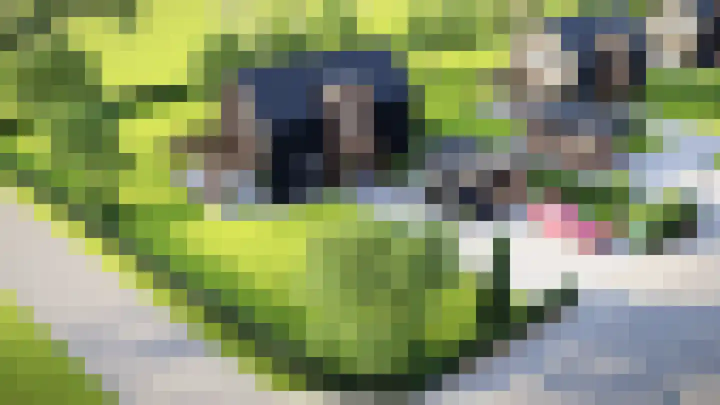 Barre Ven Zaandijk foto 2