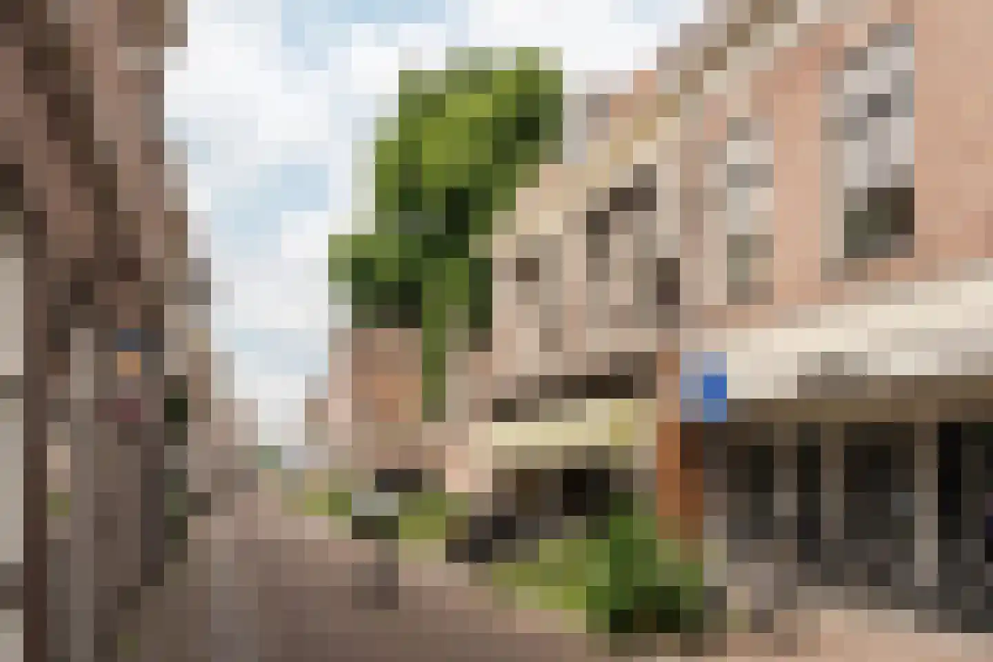 Barrevoetestraat 11 RD Haarlem thumbnail 31