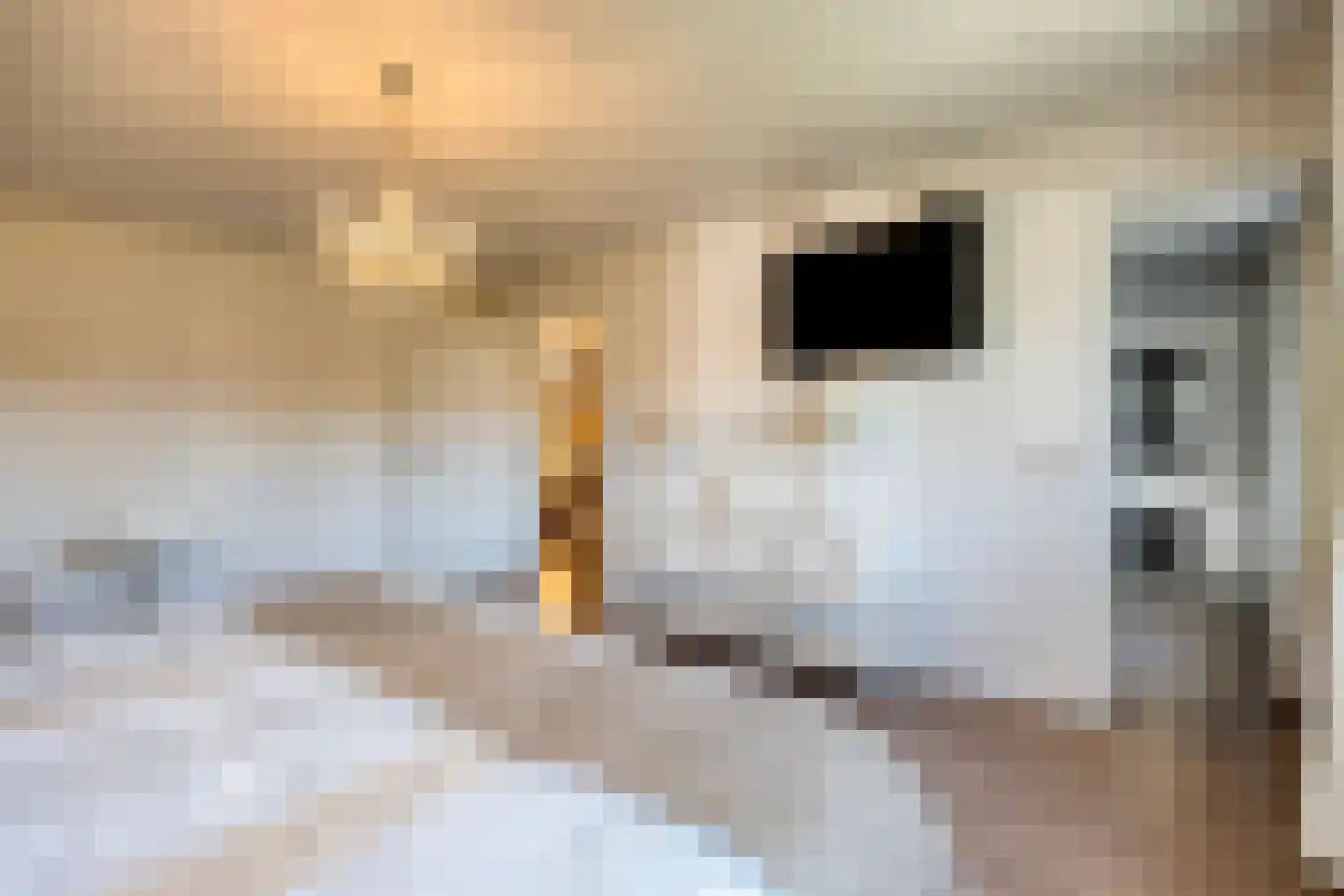 Barrier 1 Bergeijk thumbnail 17