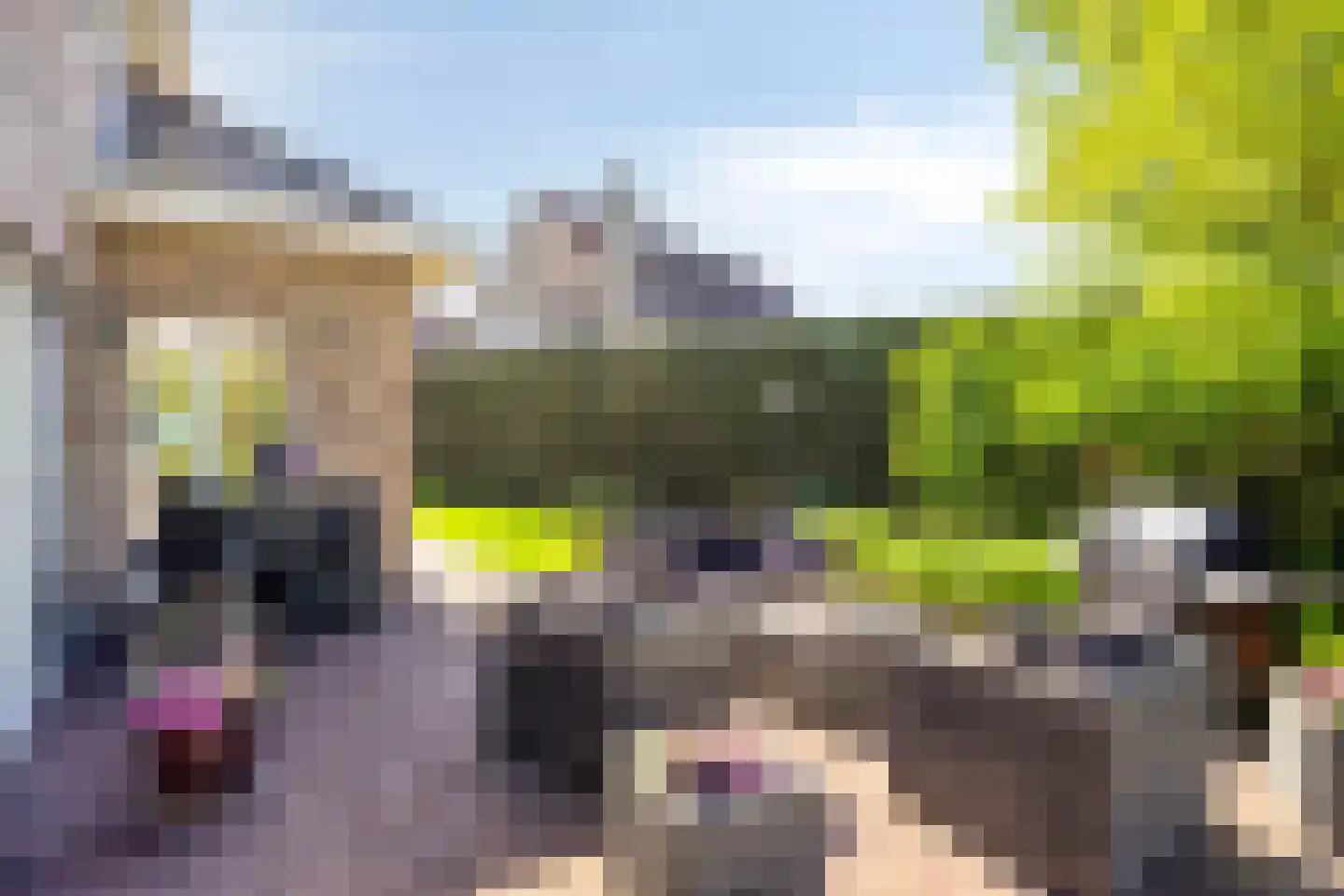 Barrier 1 Bergeijk thumbnail 25