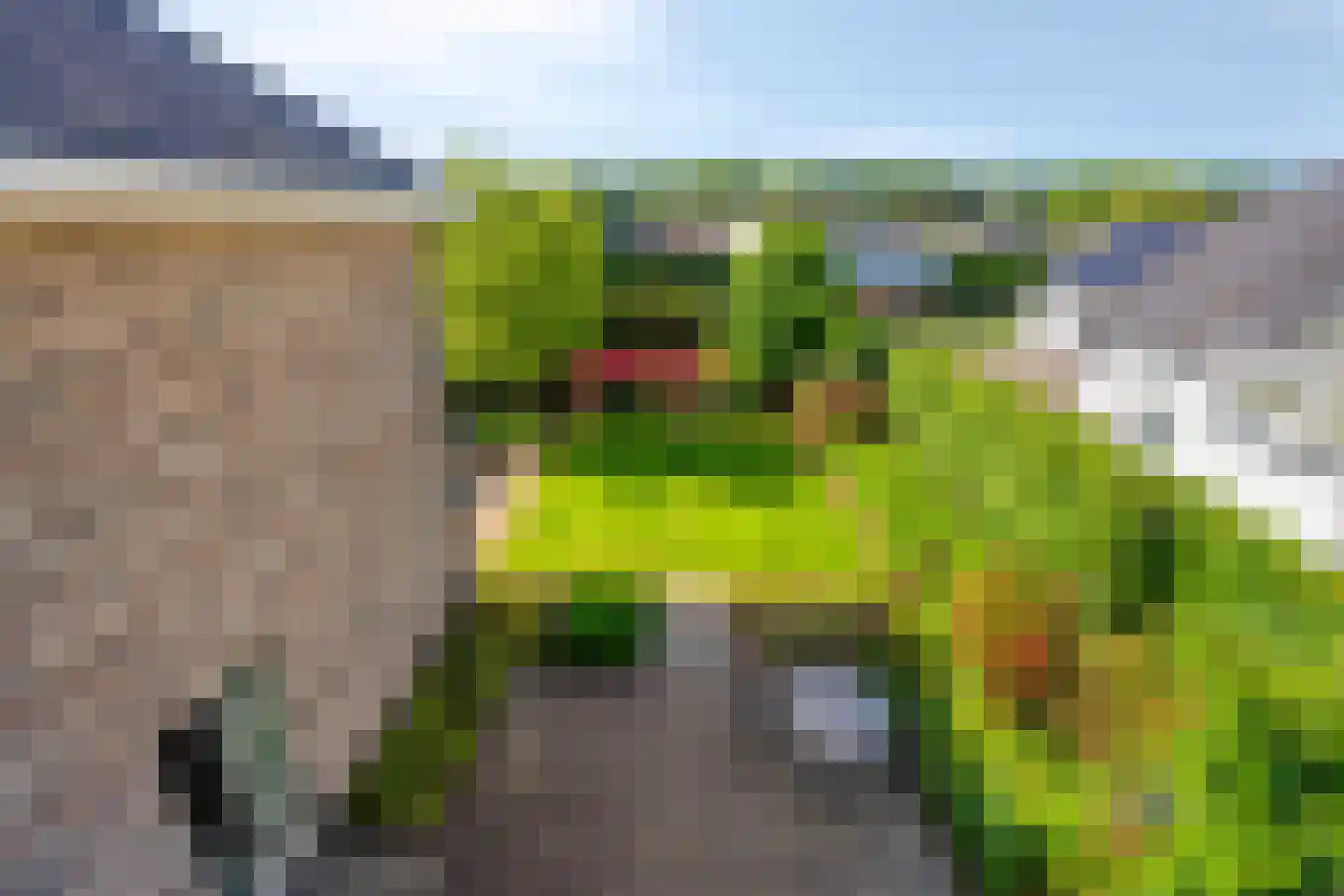 Barrier 1 Bergeijk thumbnail 31