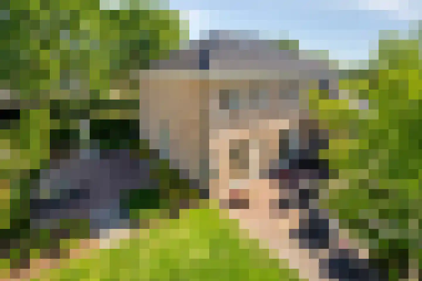 Barrier 1 Bergeijk thumbnail 32