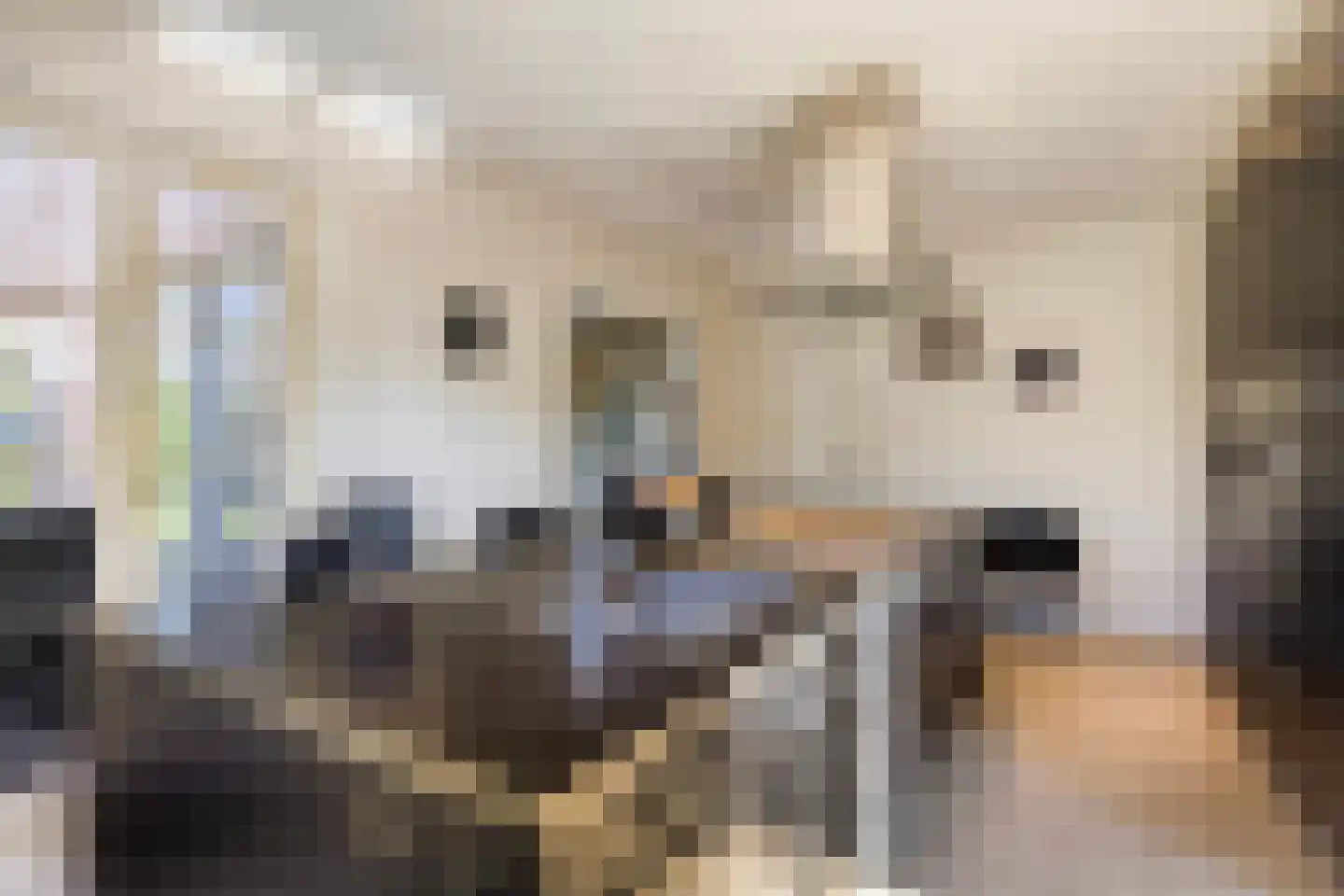Barrier 1 Bergeijk thumbnail 9