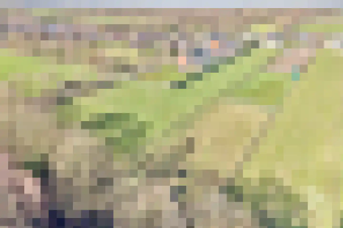 Barrier 159 A Bergeijk thumbnail 30