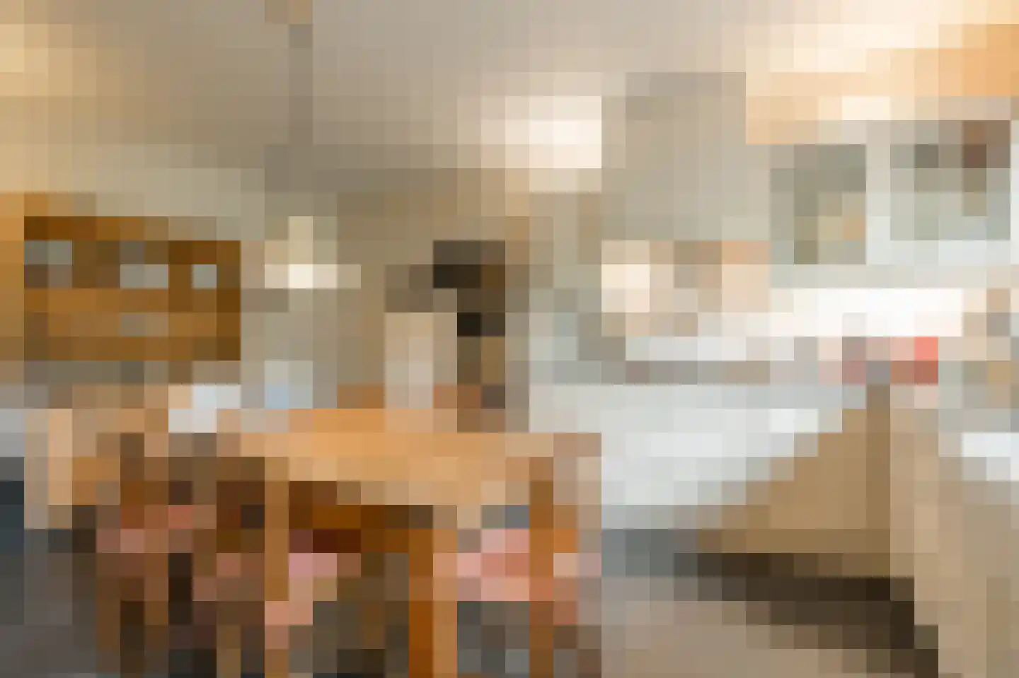 Barrier 20 Bergeijk thumbnail 26