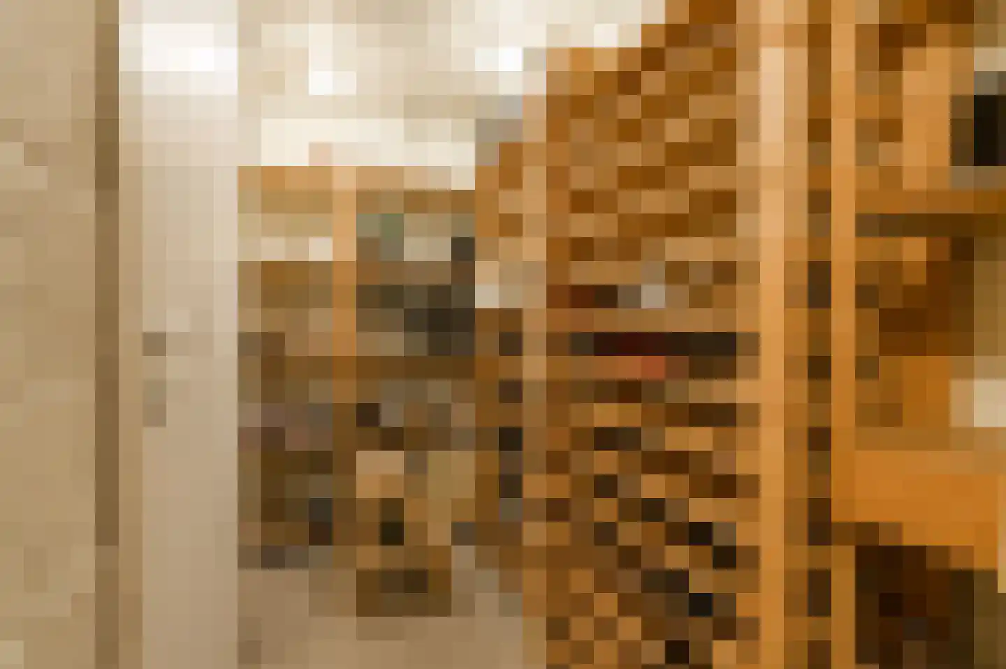 Barrier 20 Bergeijk thumbnail 28