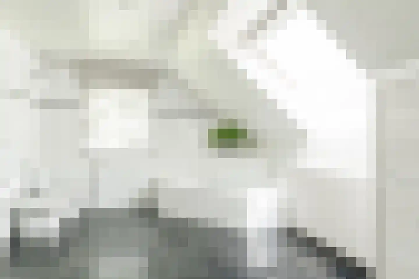 Barrier 20 Bergeijk thumbnail 52