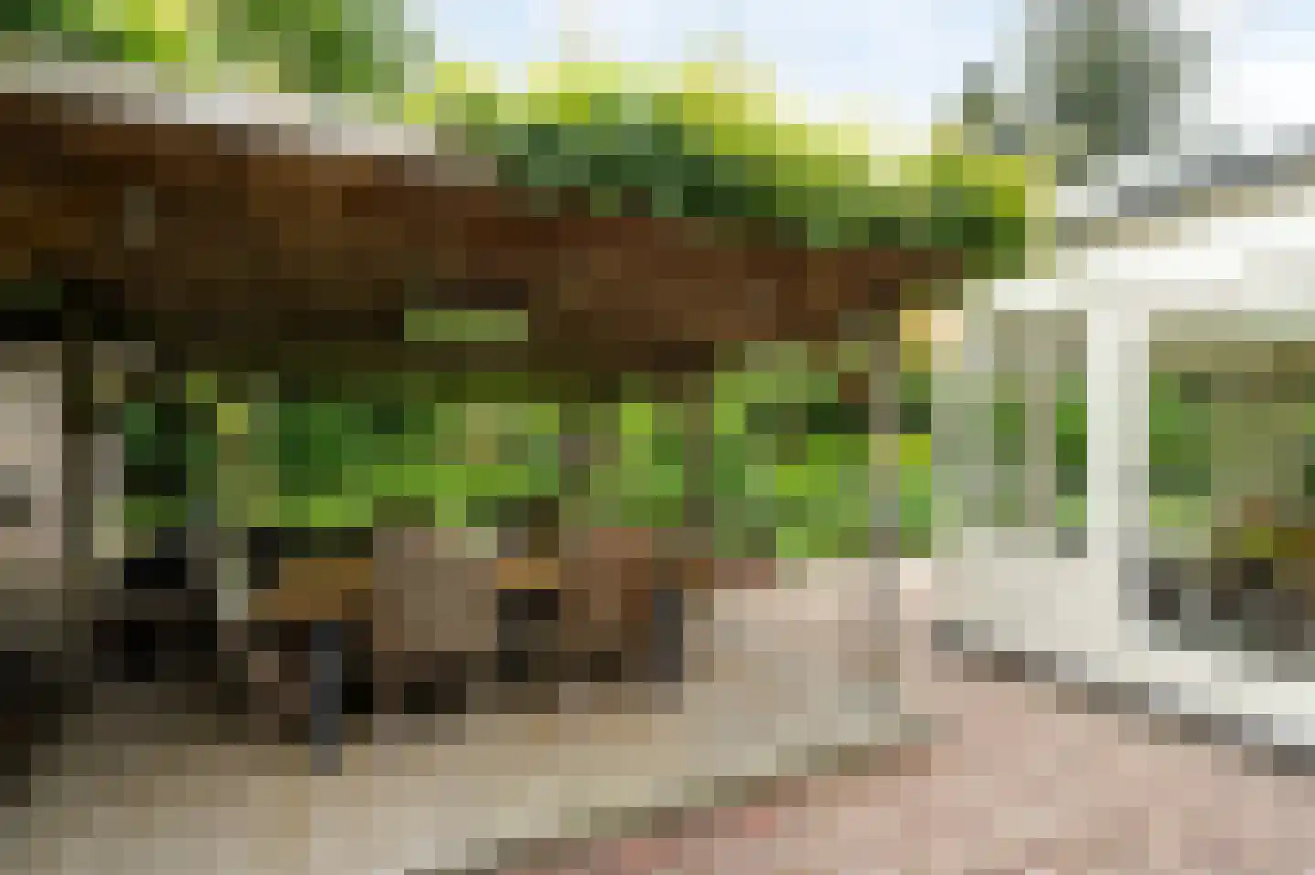 Barrier 20 Bergeijk thumbnail 63