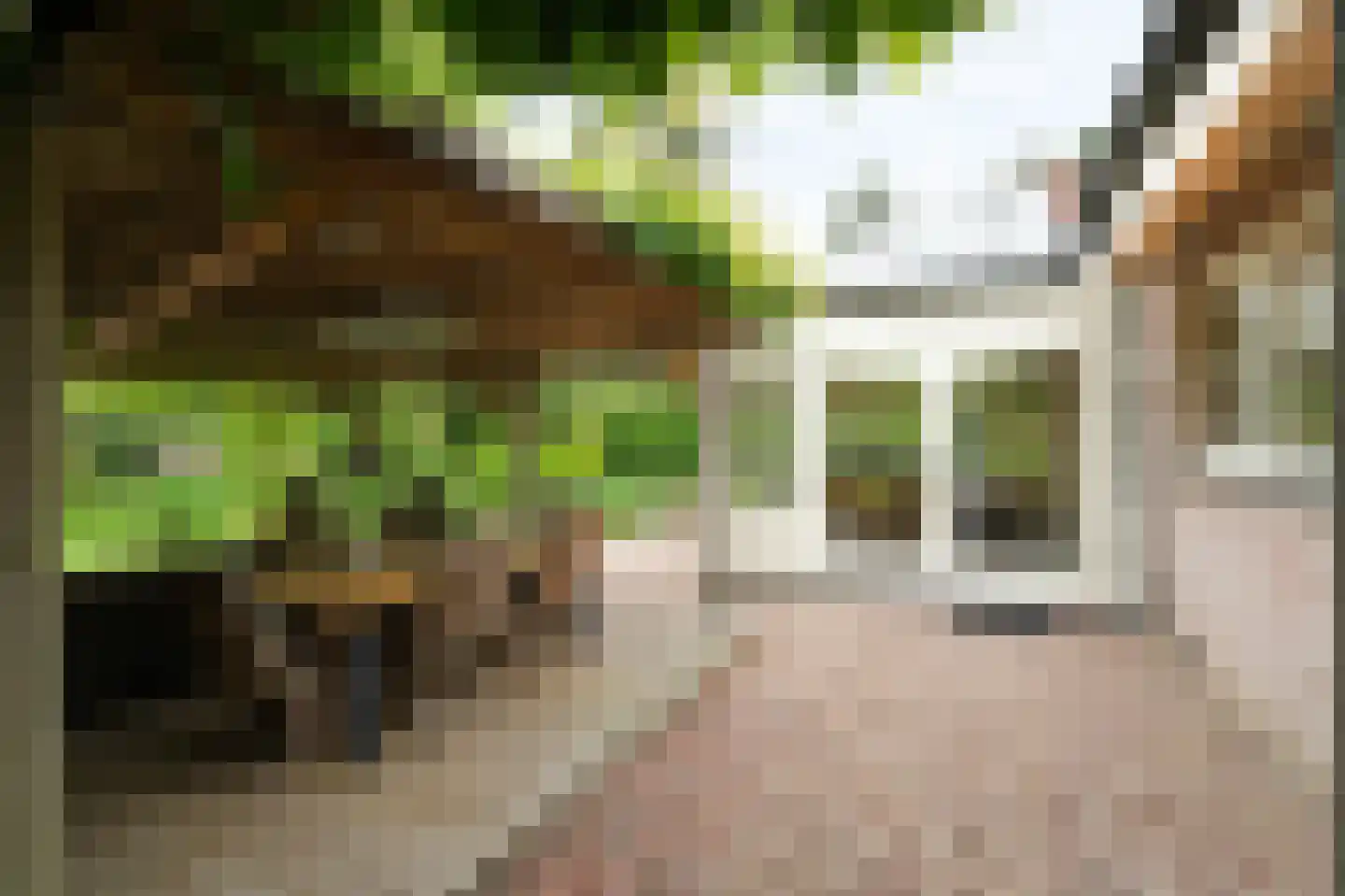 Barrier 20 Bergeijk thumbnail 64
