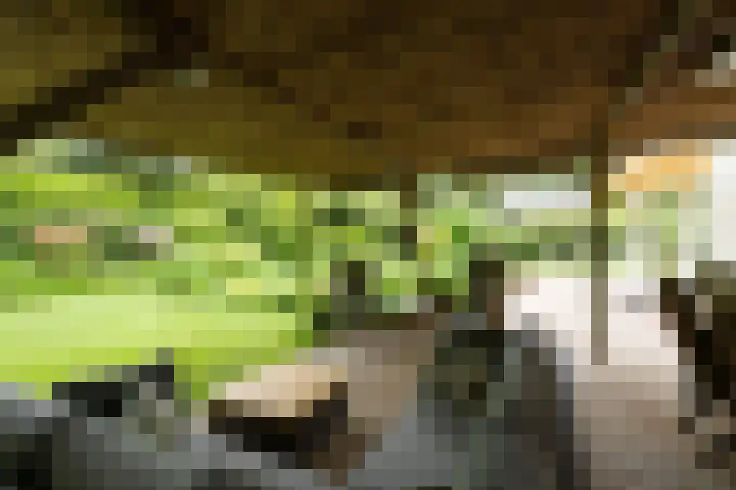 Barrier 20 Bergeijk thumbnail 65