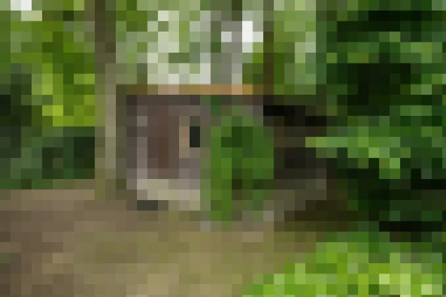 Barrier 20 Bergeijk thumbnail 66