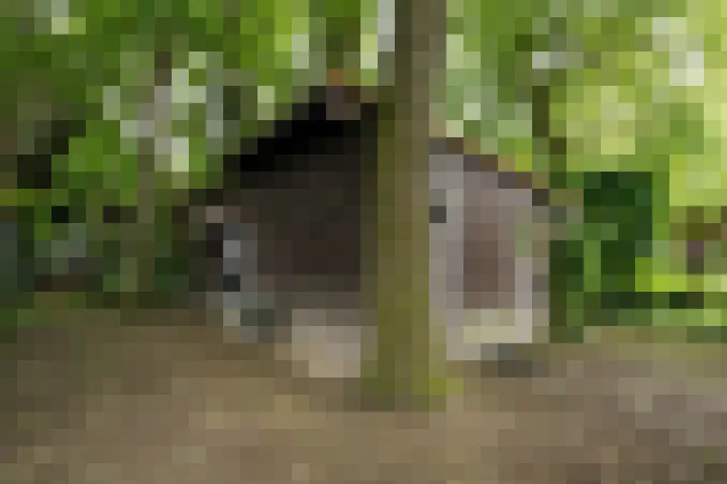 Barrier 20 Bergeijk thumbnail 67