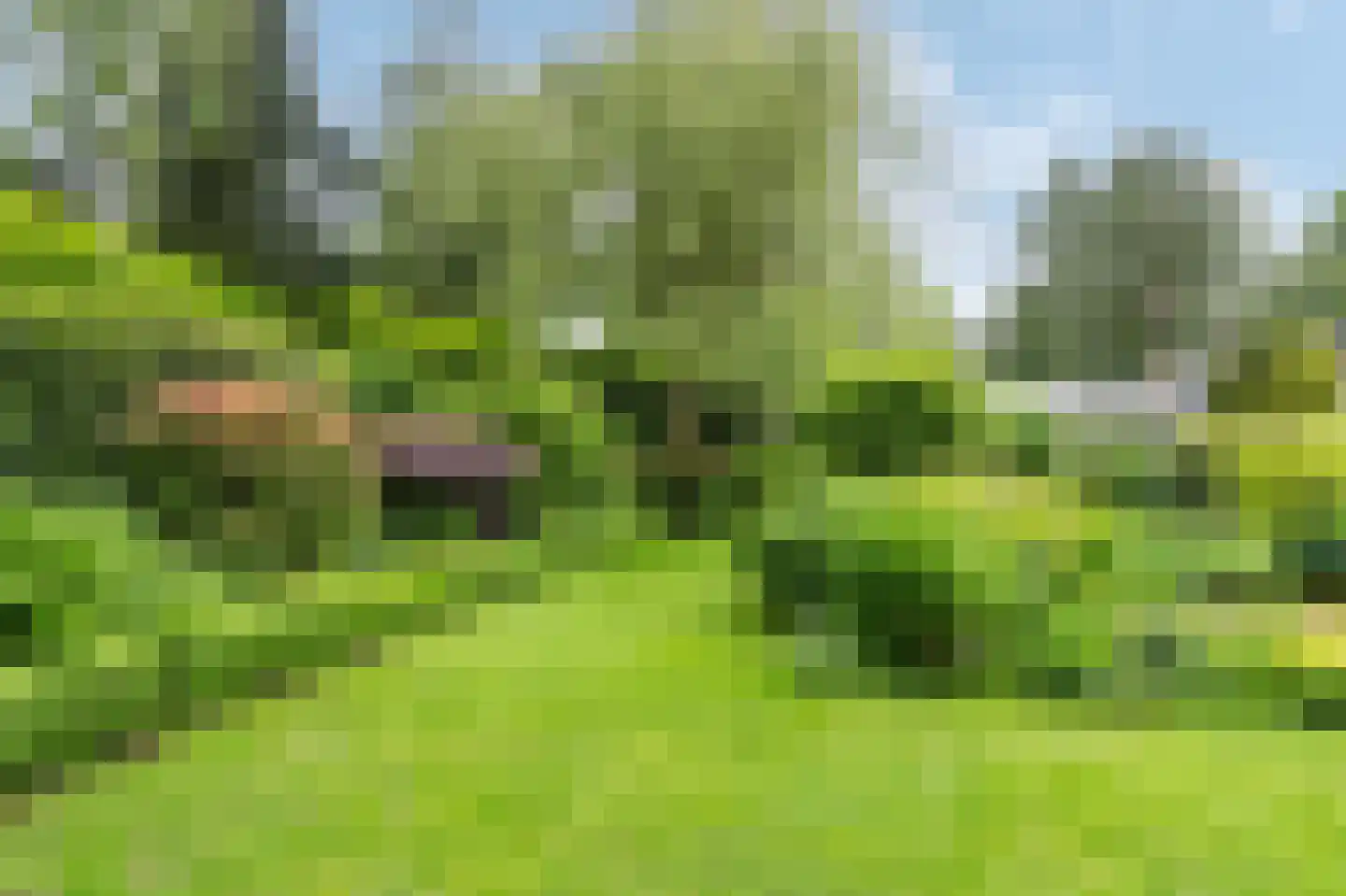 Barrier 20 Bergeijk thumbnail 68
