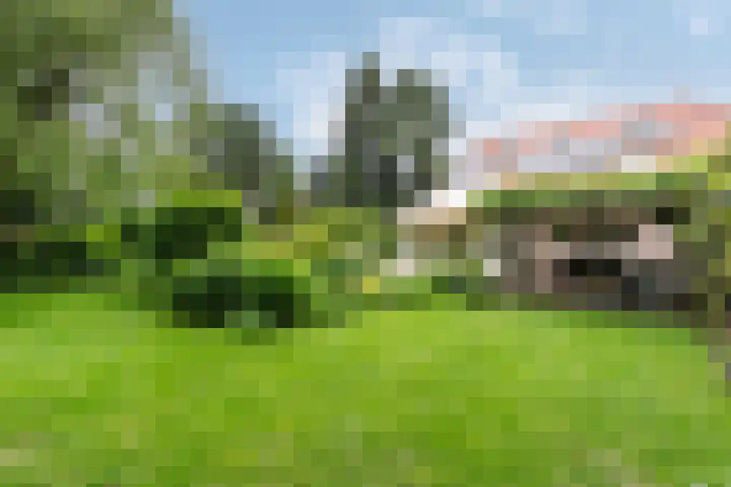 Barrier 20 Bergeijk thumbnail 69