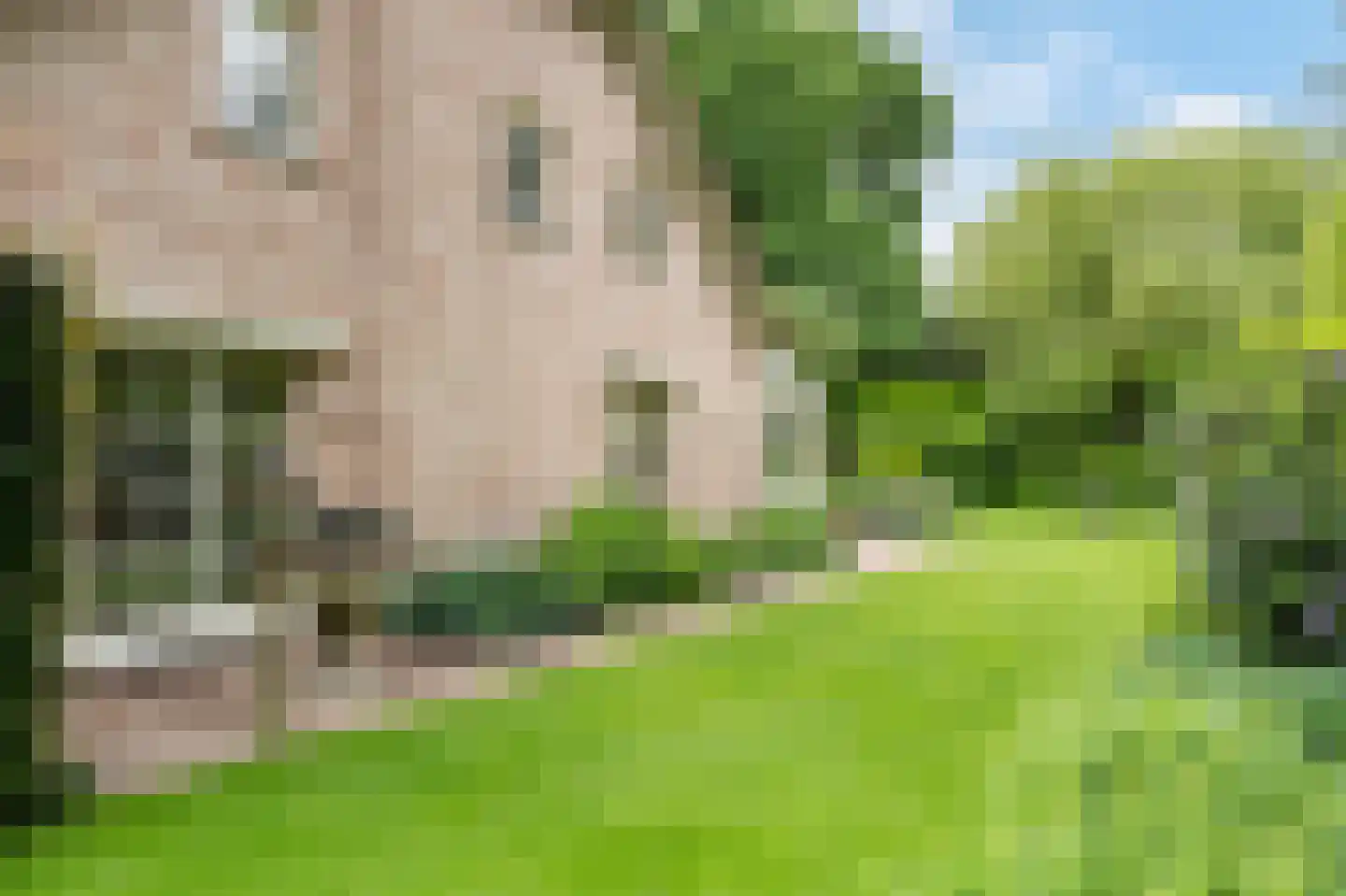 Barrier 20 Bergeijk thumbnail 7