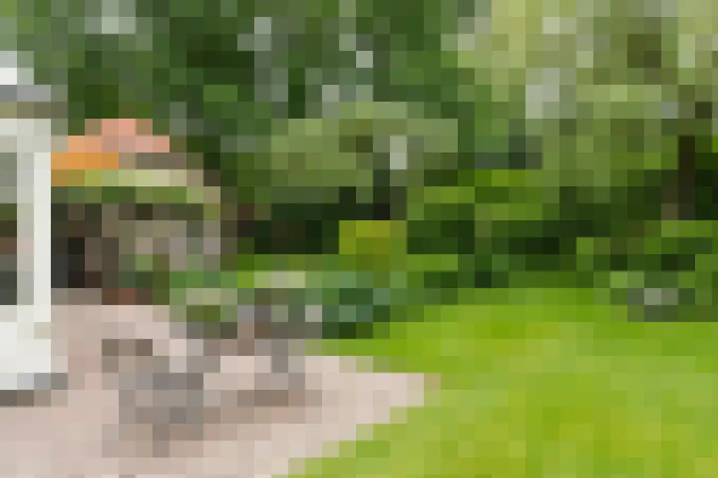 Barrier 20 Bergeijk thumbnail 73