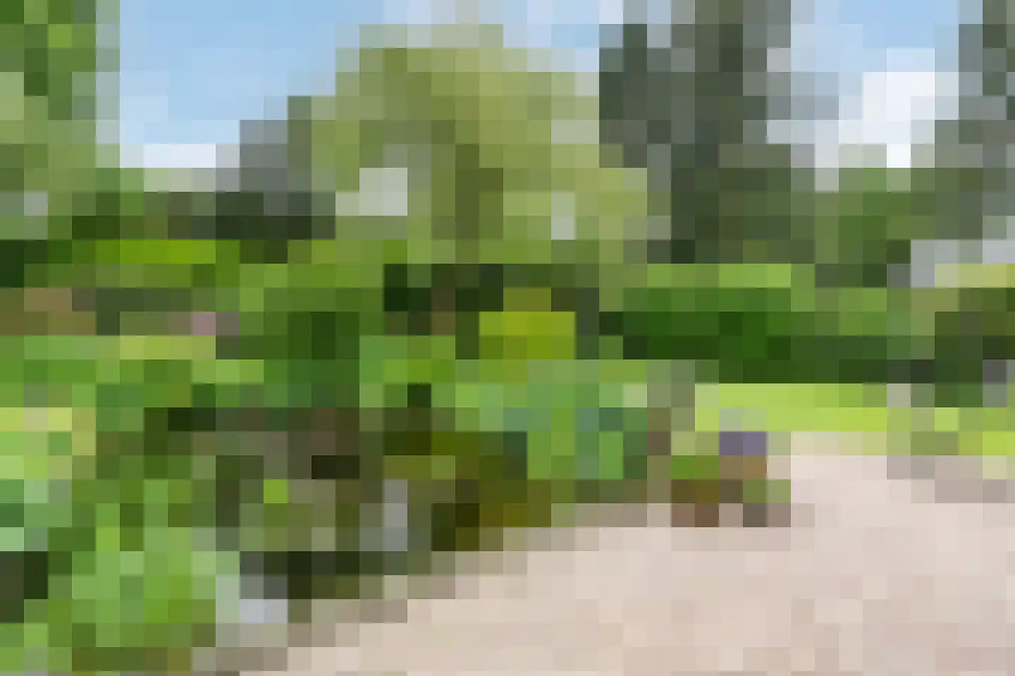 Barrier 20 Bergeijk thumbnail 75