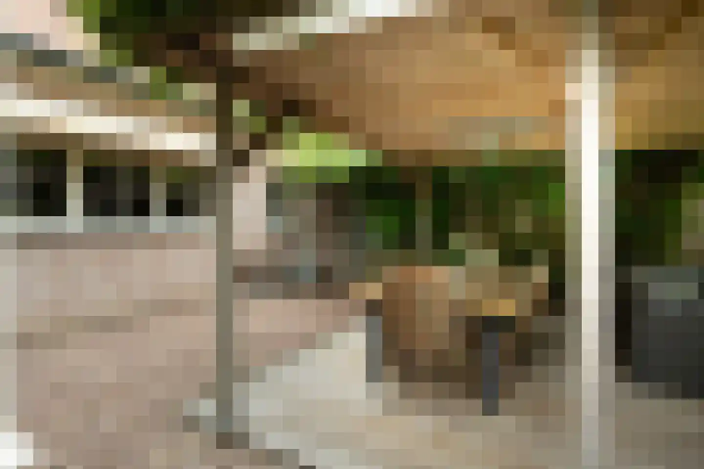 Barrier 20 Bergeijk thumbnail 76