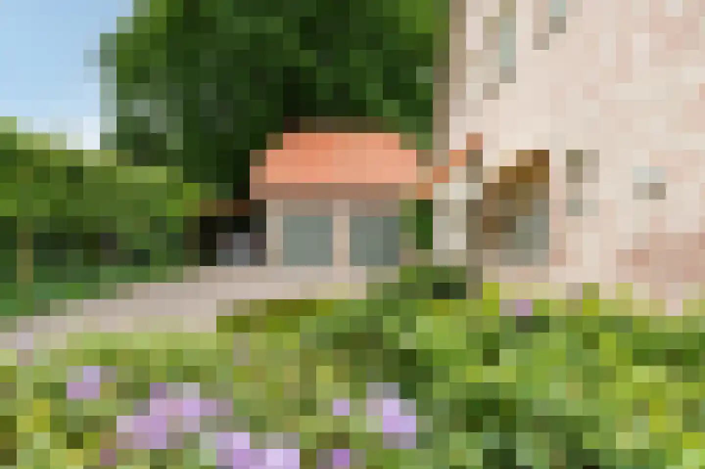 Barrier 20 Bergeijk thumbnail 8
