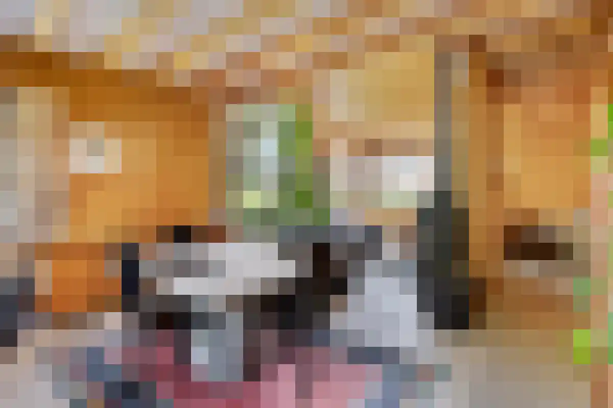 Barrier 31 Bergeijk thumbnail 10