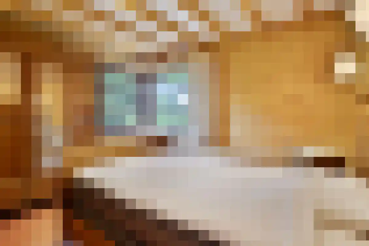 Barrier 31 Bergeijk thumbnail 21