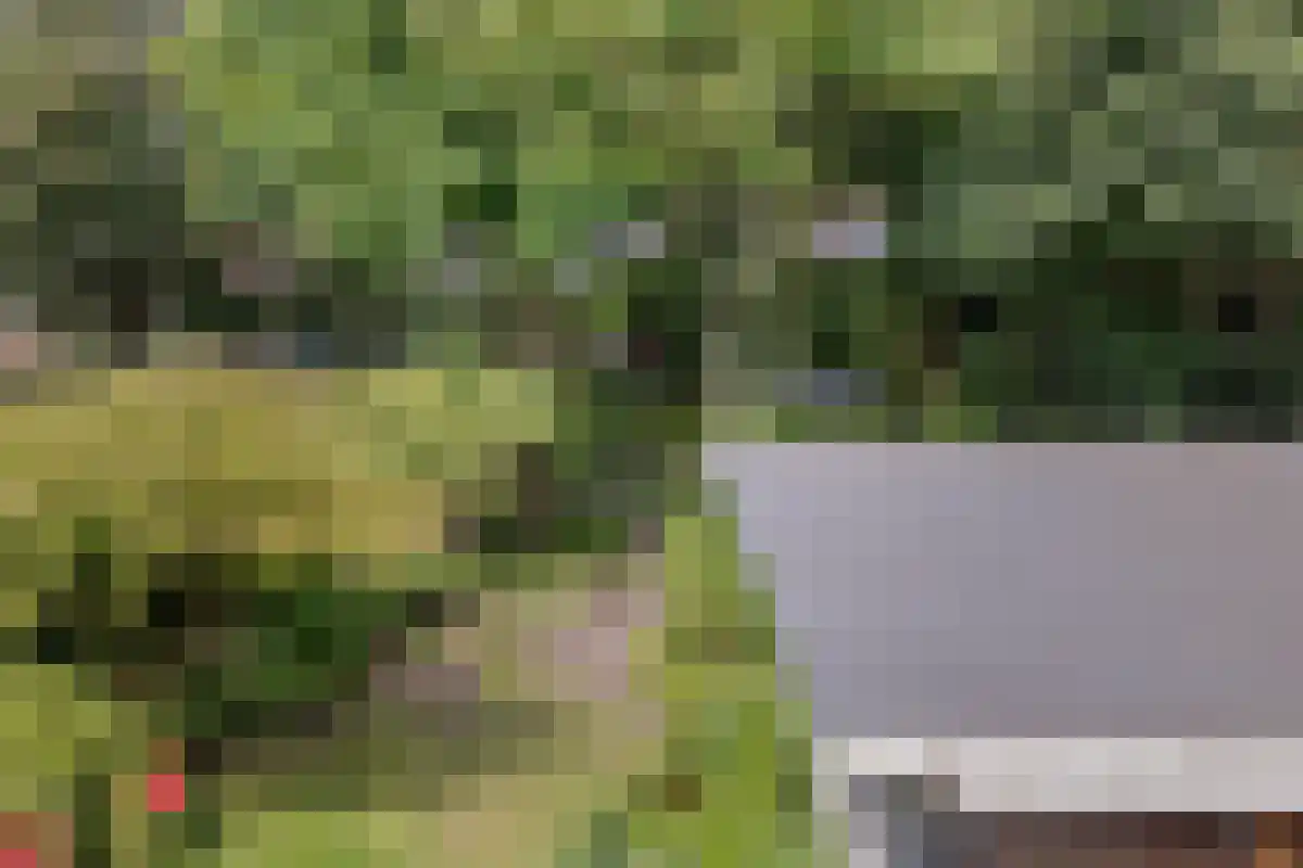 Barrier 31 Bergeijk thumbnail 23