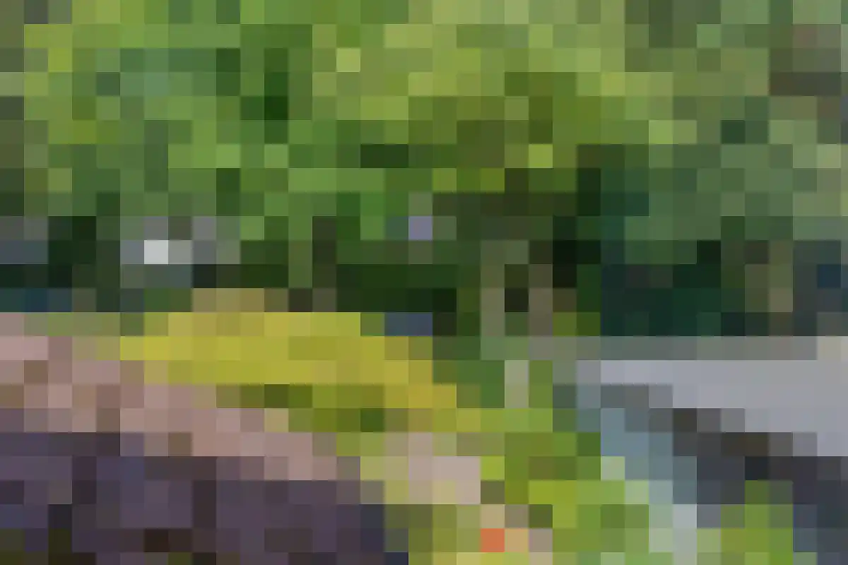 Barrier 31 Bergeijk thumbnail 27