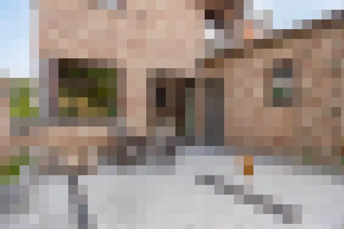 Barrier 31 Bergeijk thumbnail 28