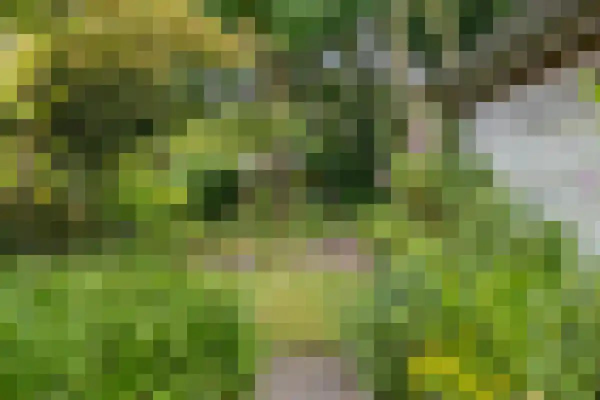 Barrier 31 Bergeijk thumbnail 29