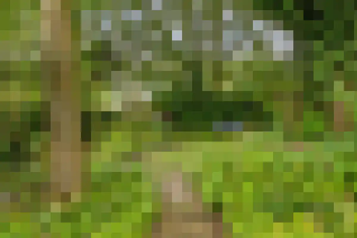 Barrier 31 Bergeijk thumbnail 30