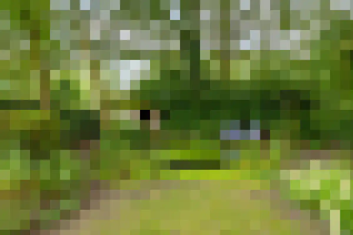 Barrier 31 Bergeijk thumbnail 31