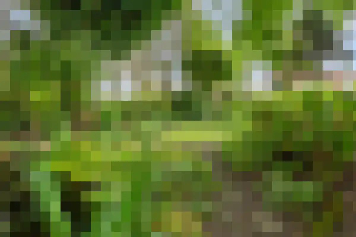 Barrier 31 Bergeijk thumbnail 33