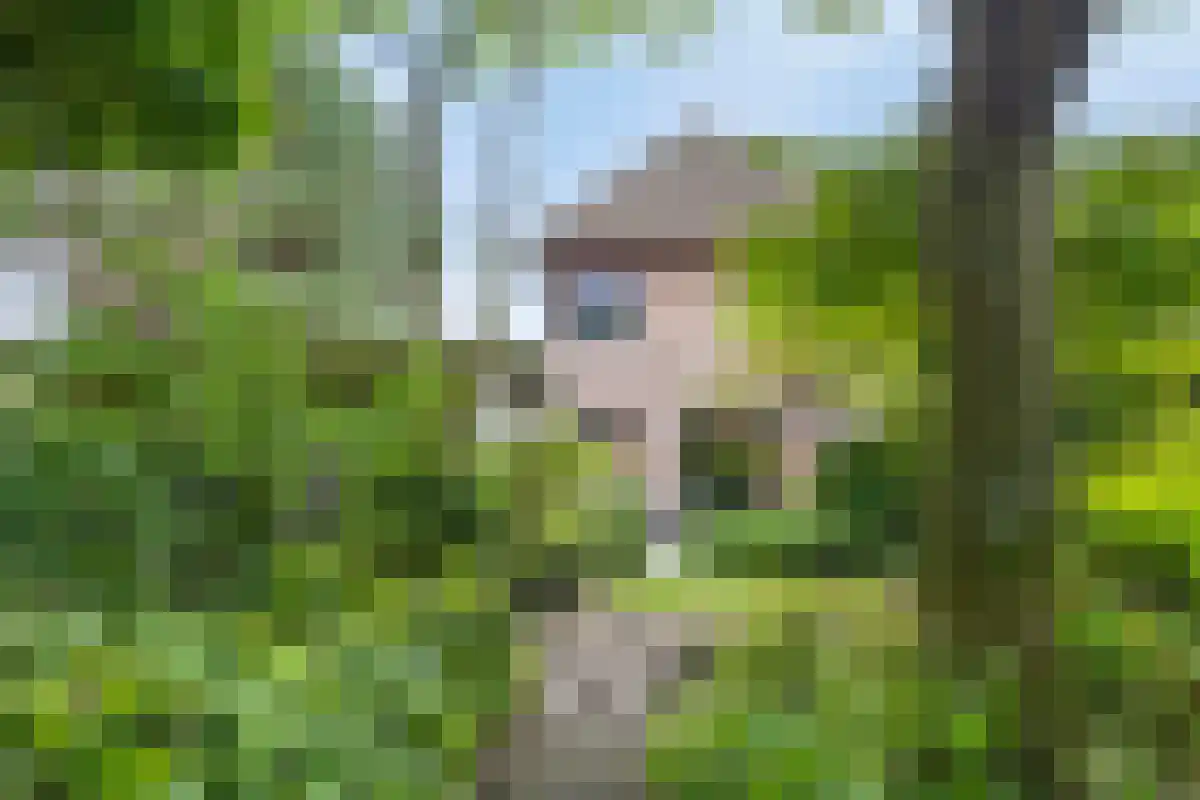 Barrier 31 Bergeijk thumbnail 34