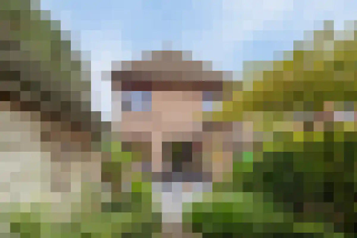 Barrier 31 Bergeijk thumbnail 35