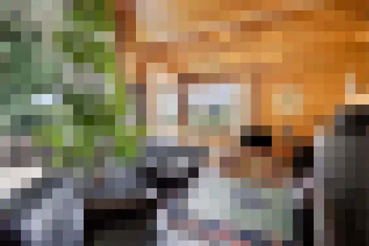 Barrier 31 Bergeijk thumbnail 6