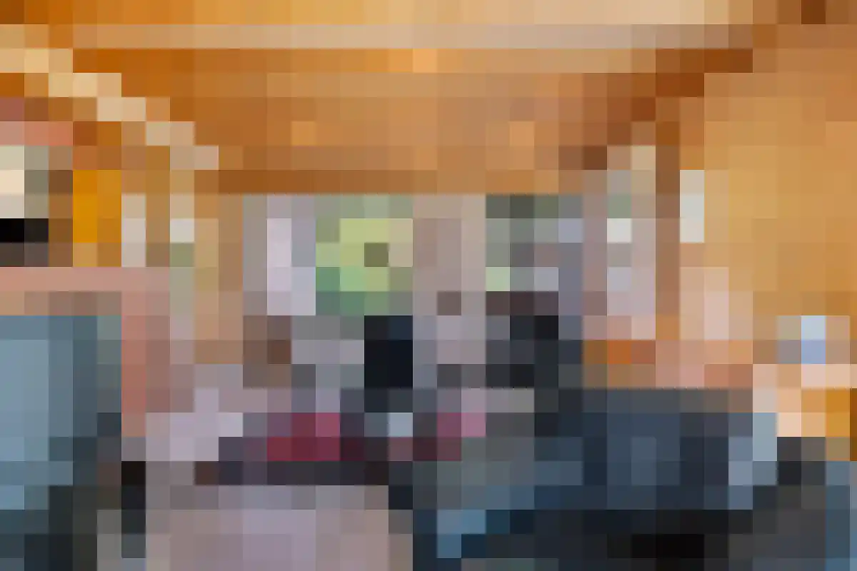Barrier 31 Bergeijk thumbnail 8