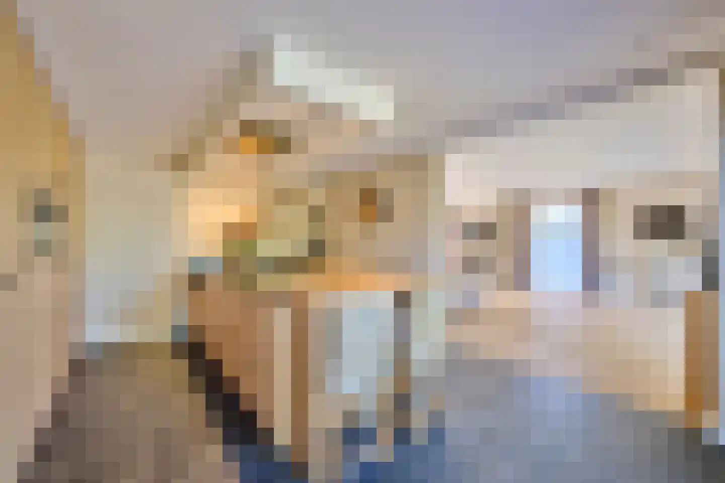 Barrier 3910 Bergeijk thumbnail 18