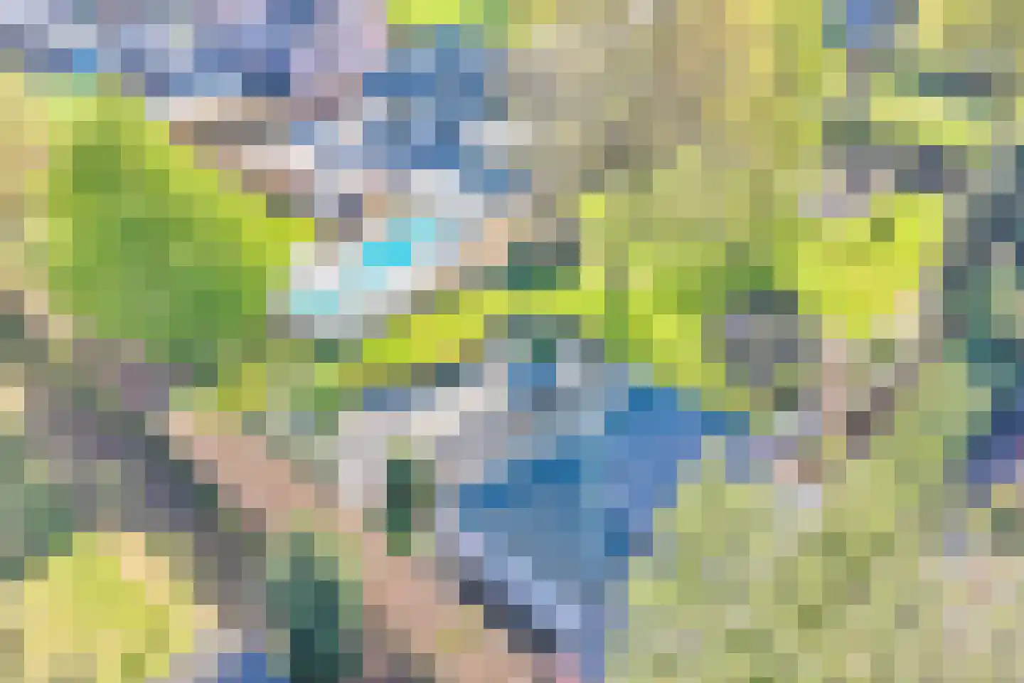 Barrier 3910 Bergeijk thumbnail 4