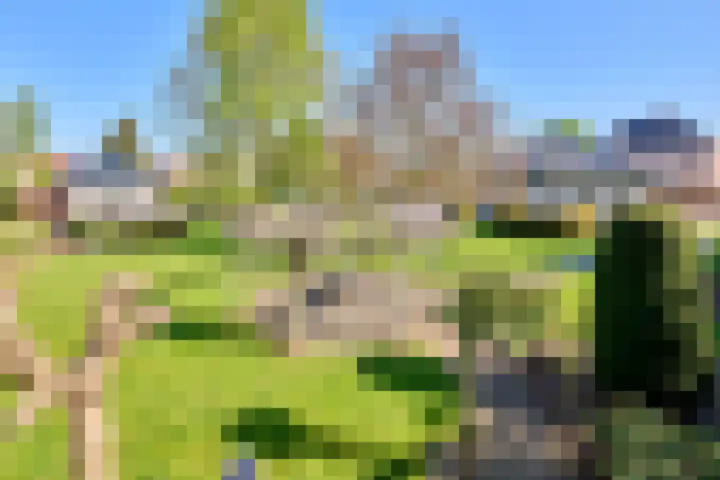 Barrier 3910 Bergeijk thumbnail 56