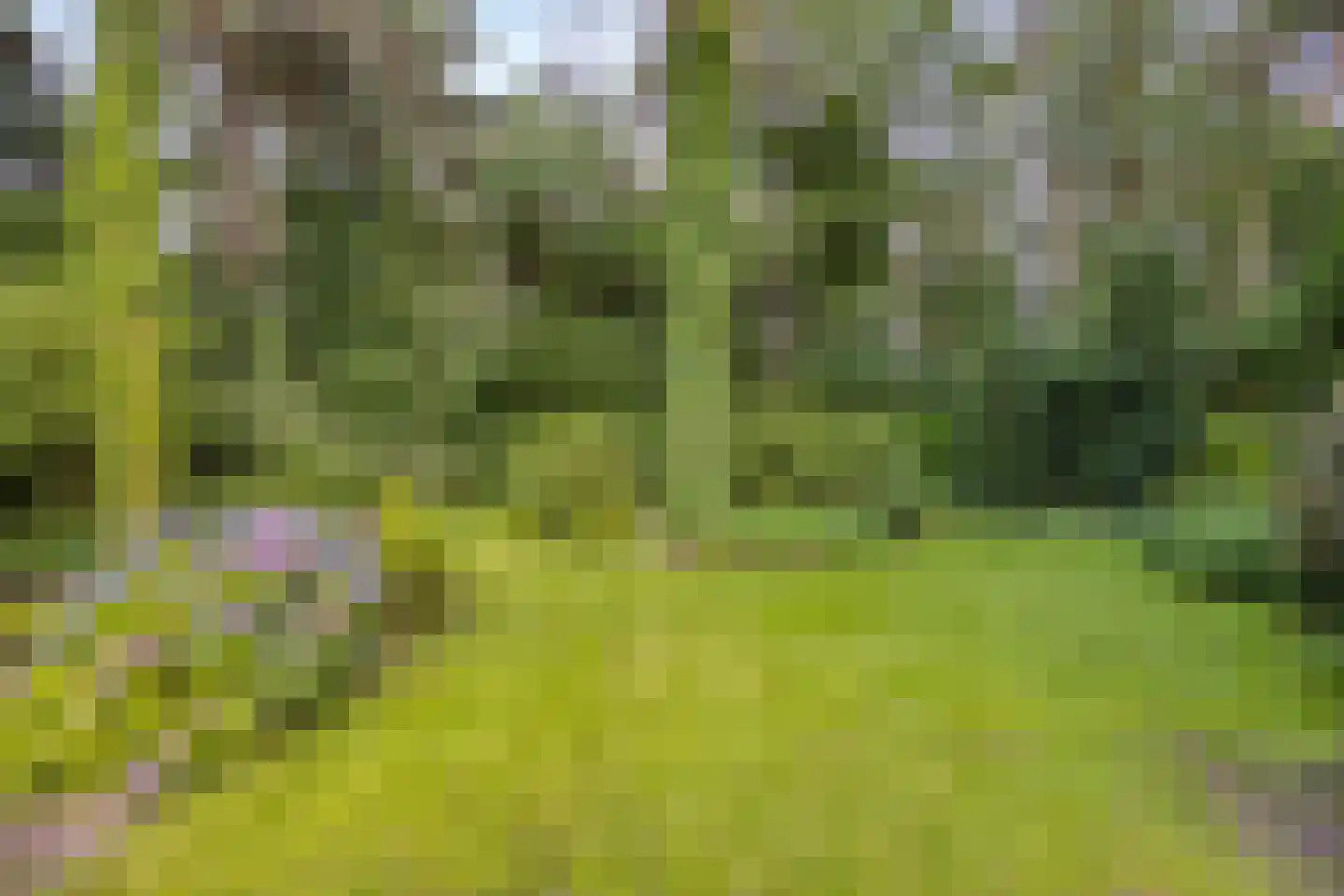 Barrier 504 A Bergeijk thumbnail 21