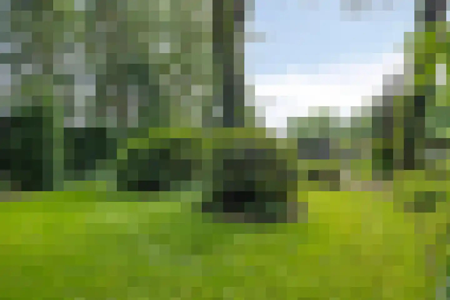 Barrier 504 A Bergeijk thumbnail 23