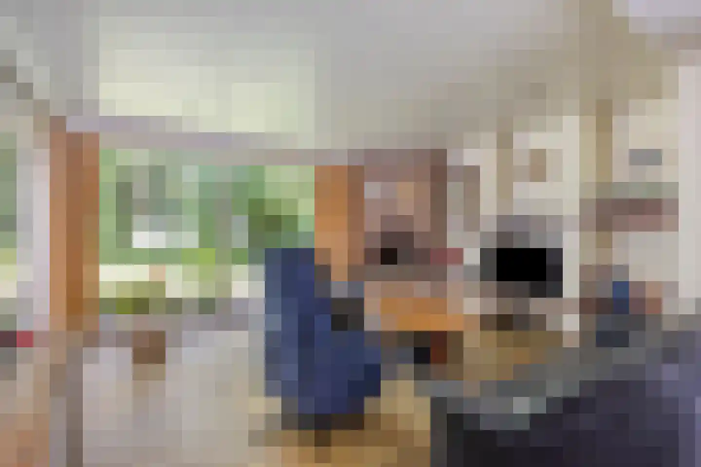 Barrier 504 A Bergeijk thumbnail 4