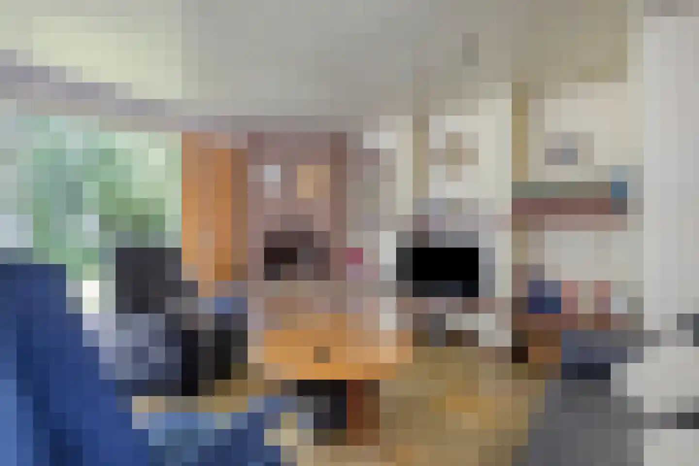 Barrier 504 A Bergeijk thumbnail 7